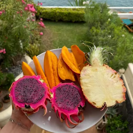 Elegante Con Vista Directa Al Mar Apartman