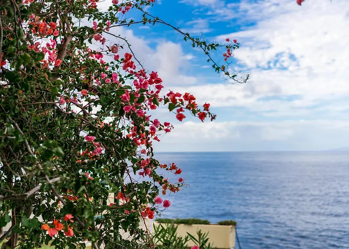 Elegante Con Vista Directa Al Mar Апартаменты